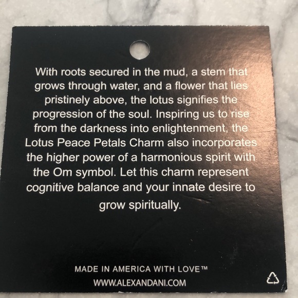 Alex and ani bracelet - Picture 3 of 4